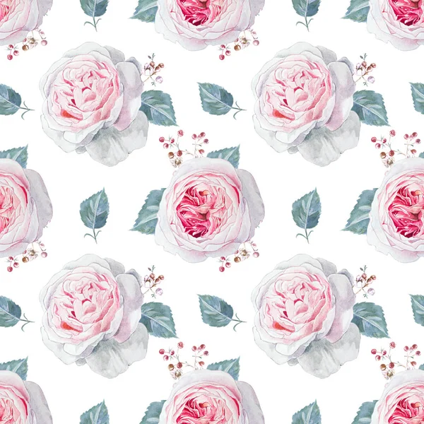 Aquarelle Sans Couture Rose Roses Pattern — Photo