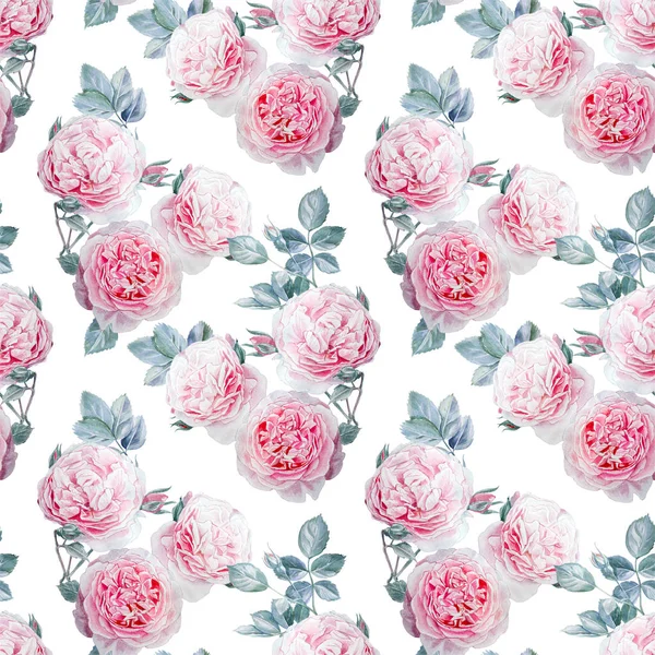 Aquarelle Sans Couture Rose Roses Pattern — Photo