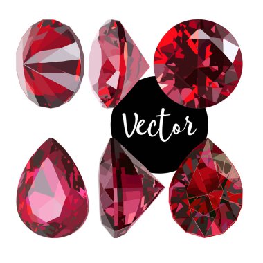 Vektör lüks mücevher illüstrasyon Set