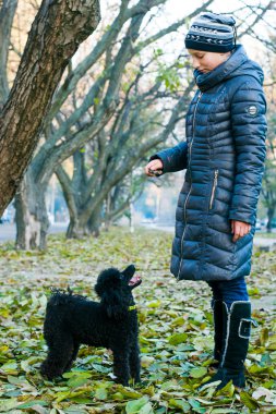 Siyah fino köpeği ile sonbahar kız