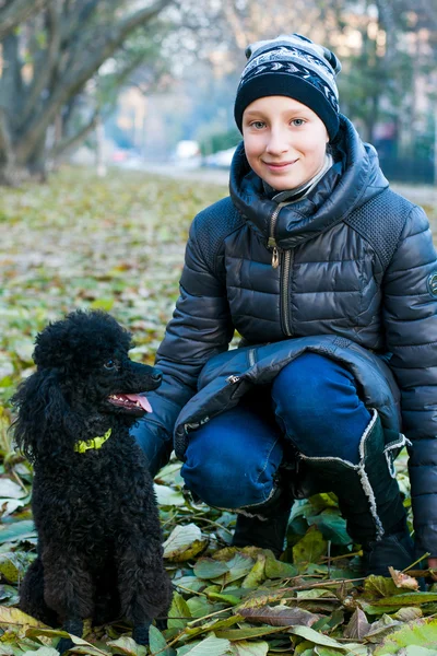 Chica en el otoño con el caniche negro — Foto de Stock