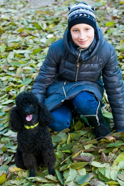 Chica en el otoño con el caniche negro — Foto de Stock