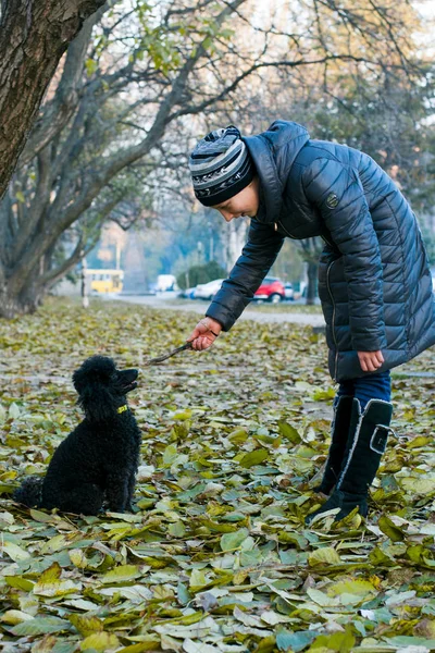 Chica en el otoño con el caniche negro — Foto de Stock