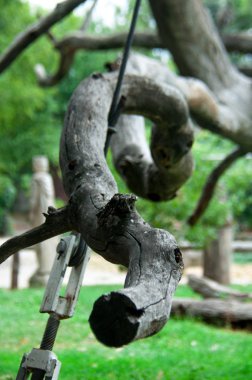 elements Zaporozhye oak branches clipart