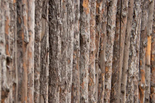 Деревянные бревна в ряд — стоковое фото