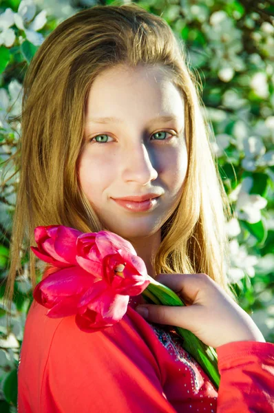 Girl with tulips in hands — Stock Photo, Image