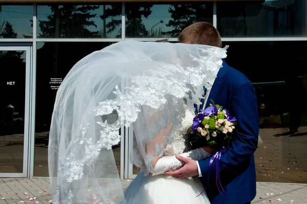 Menyasszony és a vőlegény fátyol mögé bújva csók — Stock Fotó