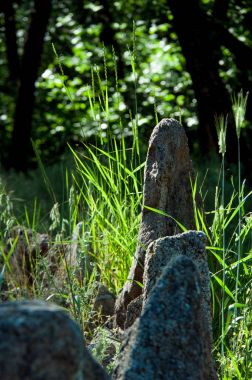 Çim zemin üzerine kutsal taşlar