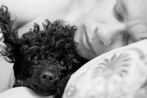 Hombre y perro se acuestan en una almohada — Foto de Stock