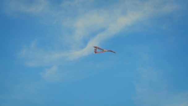 Regenbogenfarben Drachen fliegen mit dem klaren blauen Himmel auf dem Hintergrund. — Stockvideo
