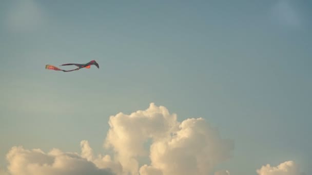 Rainbow Color Kite Flying With The Blue Sky And A Fluffy Cloud On The Background — Stock Video