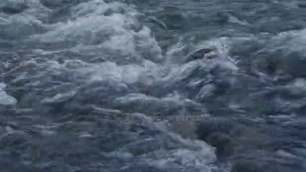 Sekély víz folyó szürke kavicsok a folyómeder fut át sziklák közelében, fel felvétel — Stock videók