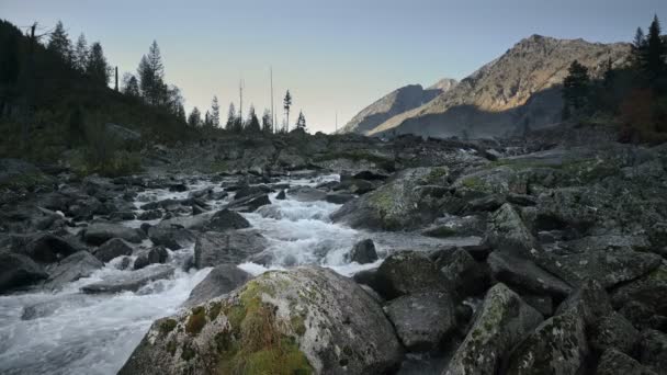 Río Still Reflejando el cielo rodeado de montañas siberianas y paisajes diurnos del bosque — Vídeos de Stock