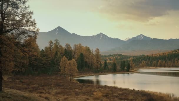 Panoramatické záběry vody řeky stále v boreální lesy v dolní části sibiřských pohoří ve dne — Stock video