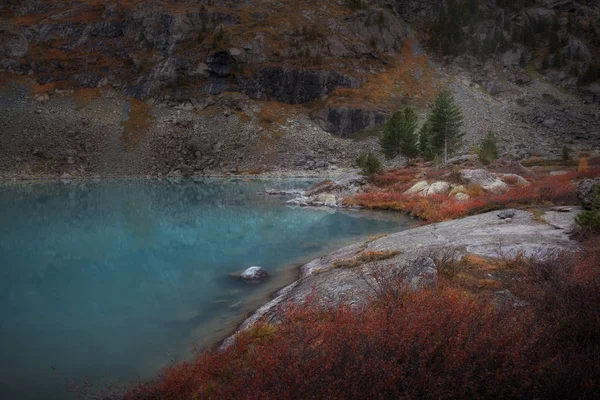 Blå Muddy Mountain Lake med röd färg tillväxt på stranden, Altai-bergen Highland Nature hösten landskap foto — Stockfoto