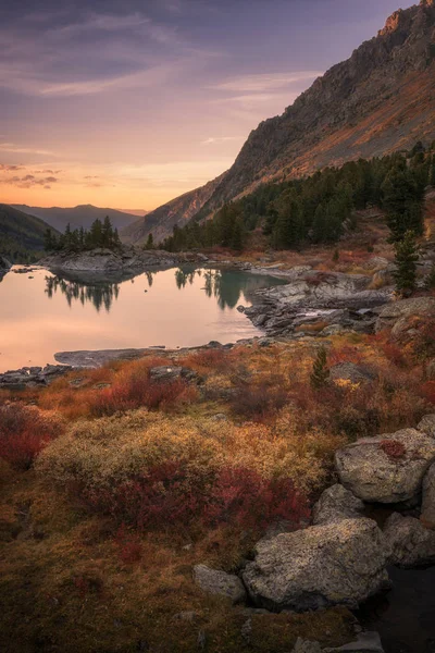 粉红色的天空和镜子像湖上夕阳红颜色增长前景，阿尔泰山高地自然秋天风景照片 — 图库照片