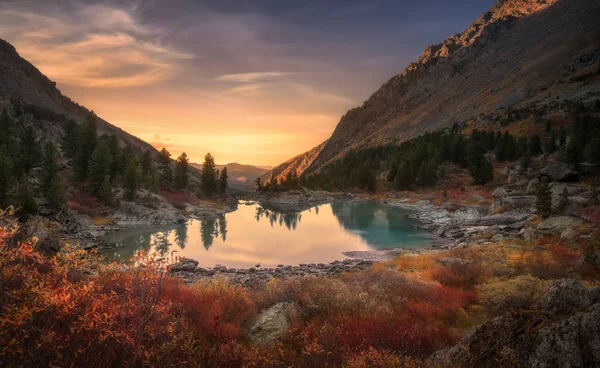 Pembe gökyüzü ve ayna gibi göl günbatımı üzerinde ön plan, Altay Dağları Yaylası doğa sonbahar manzara fotoğraf kırmızı renk büyüme ile