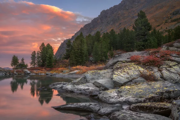 高山湖日落海岸与松林和岩石，阿尔泰山高地自然秋天风景照片 — 图库照片