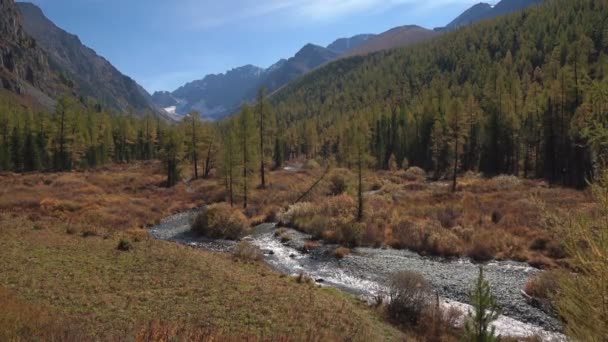Быстрый маленький водный поток, протекающий через горно-сибирскую лесную местность осенью — стоковое видео
