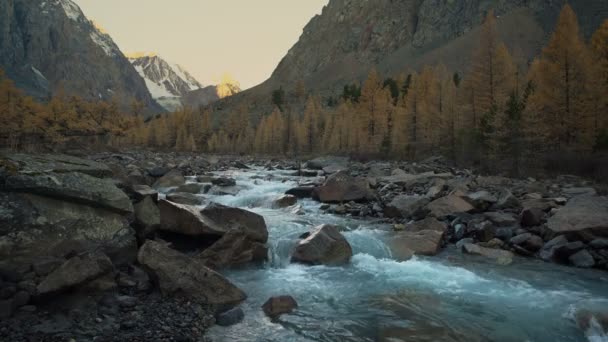 Kaszkádolt fehér víz sziklás hegyi folyó keresztül szibériai Highland gyönyörű természeti táj — Stock videók