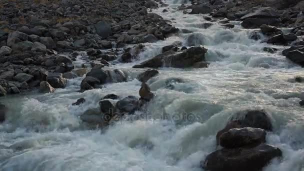 Cascade d'eau blanche Ruisseau peu profond qui coule entre les rochers gris dans les hautes terres de montagne de Sibérie — Video