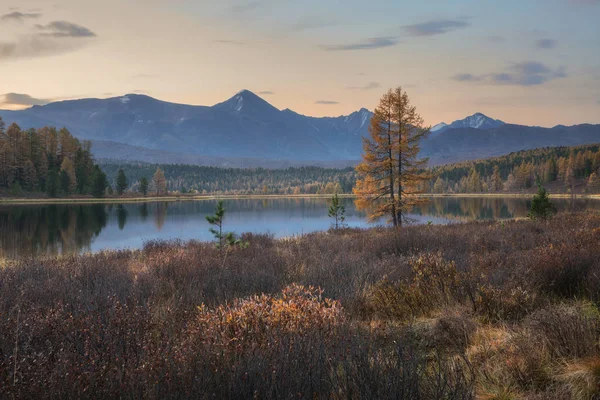 镜子表面湖秋天风景与山脉与光粉红色天空背景 — 图库照片