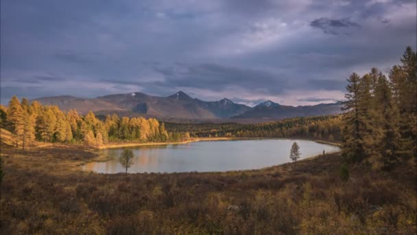 Lago de montaña en un día soleado de otoño timelapse, Siberia, Altai — Vídeo de stock