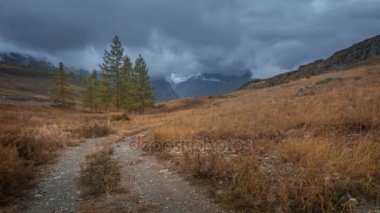 Yamaca büyük çayırlar yol karanlık bulutlu gökyüzü ile sonbahar günü sonbahar çayır timelapse üzerinde Sibirya, Altay otlayan inekler sarma.
