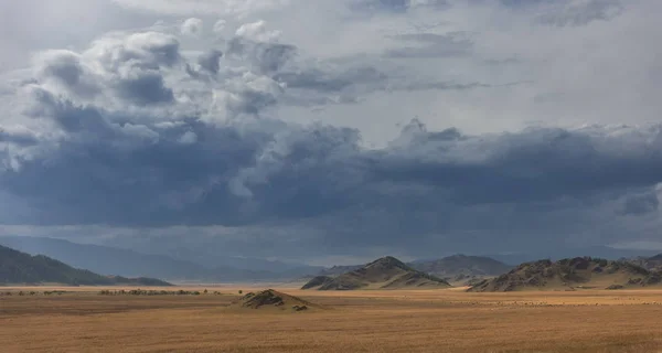 Un ampio campo con erba gialla e colline sotto un cielo nuvoloso — Foto Stock