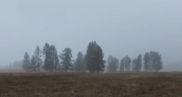 Herfst landschap in in de ochtend mist Rechtenvrije Stockafbeeldingen