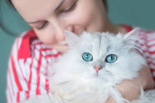 Молодая привлекательная женщина с великолепными белыми длинными волосами кота — стоковое фото