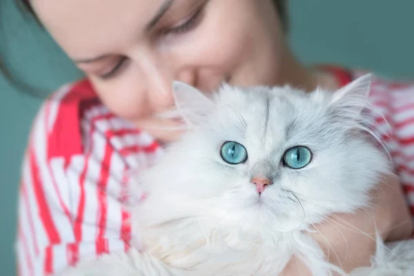 Junge attraktive Frau hält wunderschöne weiße langhaarige Katze lizenzfreie Stockfotos
