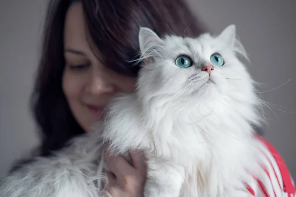 Mooie jonge brunette vrouw knuffelen mooie Perzische witte langharige kat Stockafbeelding