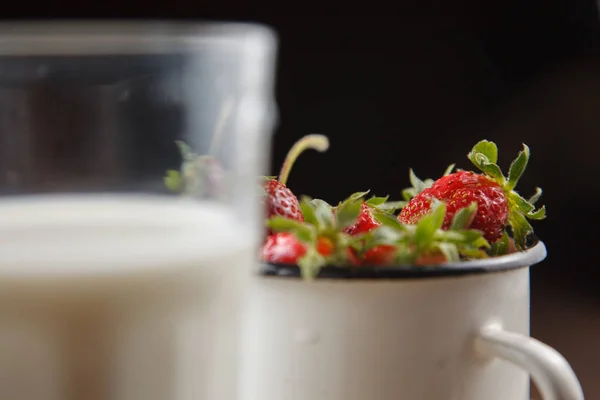 Ripe strawberries in an enamel cup — Stock Photo, Image