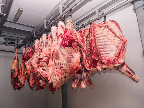 Kadavret av en gris rå i kylskåp — Stockfoto