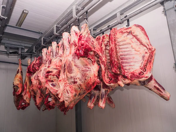 Buzdolabında bir domuz ham karkas