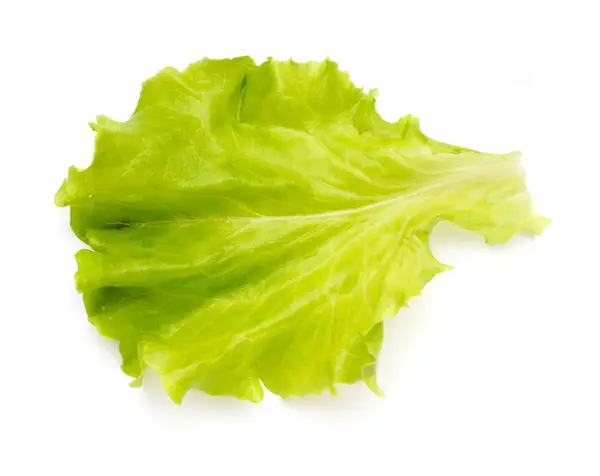 Blad av sallad isolerade. på den vita bakgrunden — Stockfoto