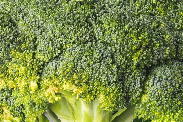 Großen grünen Brokkoli Makrohintergrund. Nahaufnahme — Stockfoto