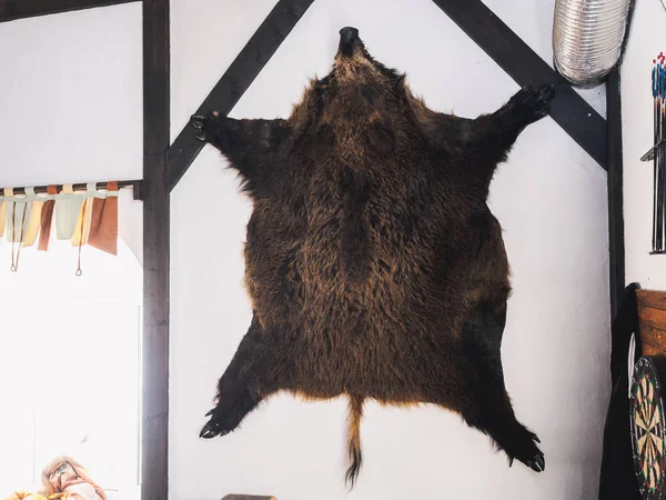 Piel de jabalí de cerdo relleno en la pared en casa de cazador —  Fotos de Stock