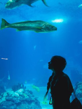 Balık Oceanarium bardakta aracılığıyla izlerken kız