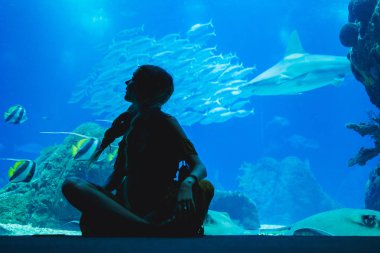 Balık Oceanarium bardakta aracılığıyla izlerken kız