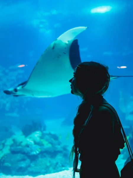 Flickan tittar på fisken genom glaset i Oceanarium — Stockfoto