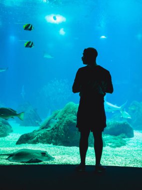 Balık yılında Oceanarium camın izleyen adamım