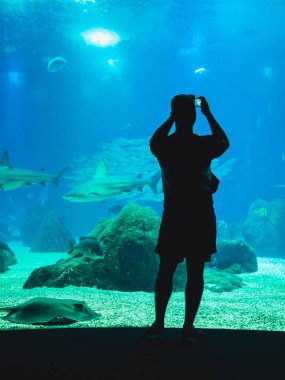 Balık yılında Oceanarium camın izleyen adamım