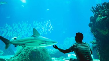 Balık yılında Oceanarium camın izleyen adamım
