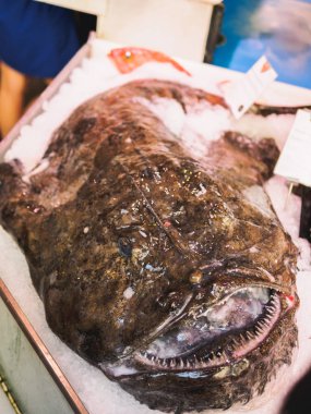 pazar yeri buza maymunbalığı