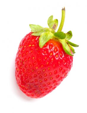 Çilek ile Seamless modeli. Tropikal arka plan. Çilek beyaz zemin üzerine