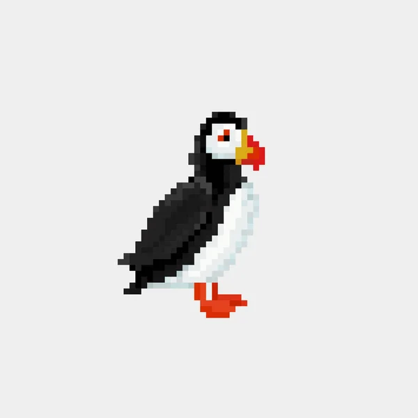 Puffin uccello in Islanda piatto luminoso colore semplificato vettoriale illustrazione in realistico disegno stile cartone animato — Vettoriale Stock