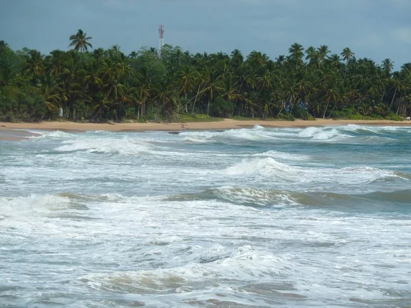 Sri Lanka peyzaj pitoresk görünümü