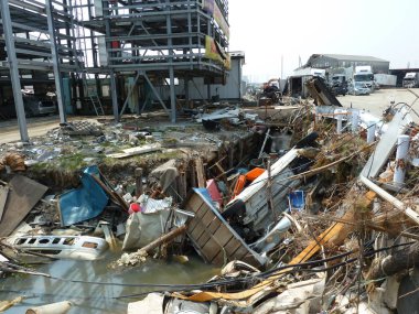 Tsunami Japan 2011 sonuçları